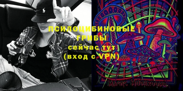 сатива Дмитриев