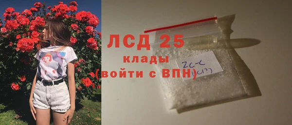 сатива Дмитриев