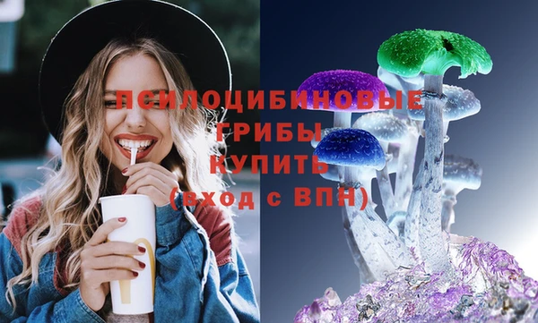 сатива Дмитриев