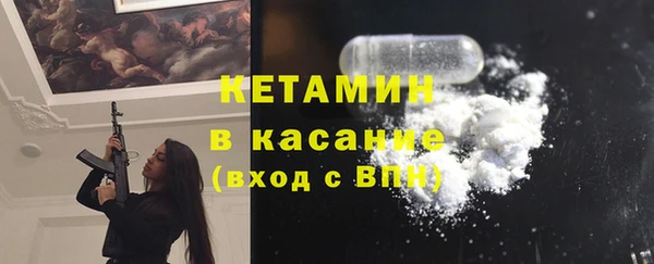 сатива Дмитриев