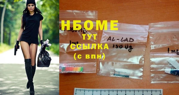 сатива Дмитриев
