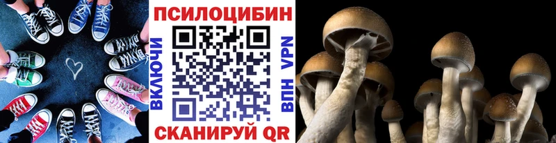 наркошоп  mega рабочий сайт  Галлюциногенные грибы мицелий  Железноводск 