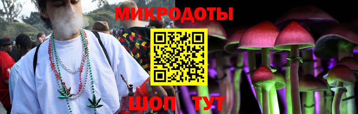 Псилоцибиновые грибы Psilocybe Железноводск