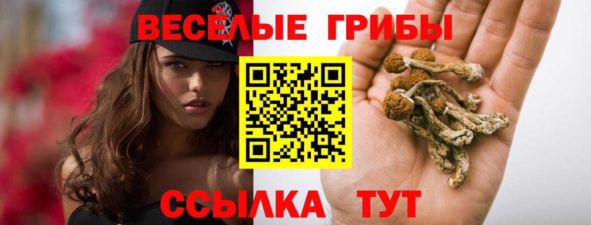 Железноводск  Галлюциногенные грибы мухоморы  Вход с VPN 